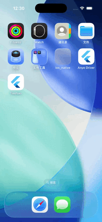 跳跳 · 招聘 Flutter App 演示